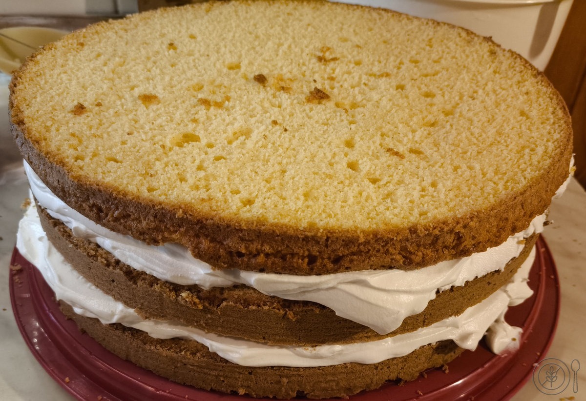 brezglutenski biskvit recept