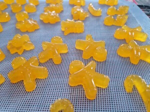 domaci gumi bomboni pomaranča recept