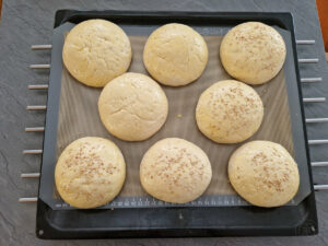 brezglutenske burger bombetke vzhajane